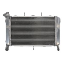 Radiator, racire motor 4 RIDE