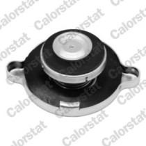 Buson, radiator VERNET