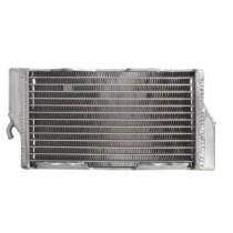 Radiator, racire motor 4 RIDE