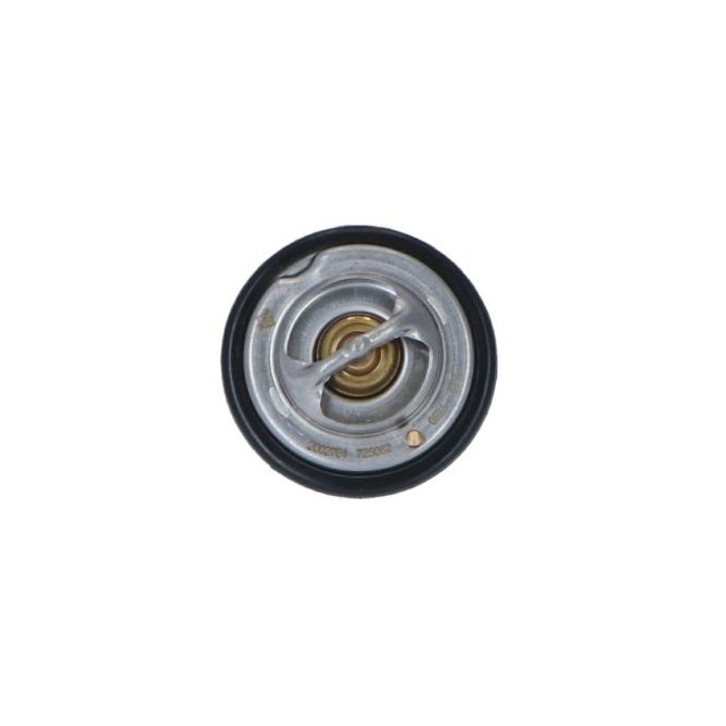 Termostat,lichid racire NRF