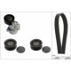 Set curea transmisie cu caneluri INA pentru MERCEDES C (CL203, W203, W204, S203, S204), CLK (C209), E (W211), S (W220) 2260 mm, 6 nervuri