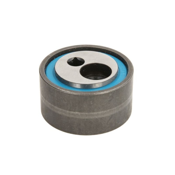 Rola intinzator,curea transmisie INA