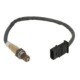 Sonda Lambda BOSCH 5 fire 480mm pentru BMW 2 (F22, F87), 3 (F30, F80), 4 (F32, F82), 4 (F33, F83) 3.0 03.14-06.21