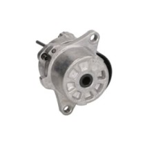 Intinzator,curea transmisie SWAG