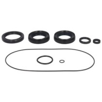 Simering arbore iesire 4 RIDE