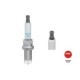 Bujie scanteie NGK pentru VW PASSAT B5.5 4.0 09.01-09.04, M14 x 1,25, lungime filet 19.0 mm, deschidere cheie 16 mm, 1 buc