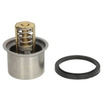 Termostat,lichid racire WAHLER