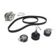 Set pompa apa + curea dintata CONTITECH pentru SEAT ALTEA, ALTEA XL, IBIZA IV, LEON, SKODA FABIA I 1.4/1.6 10.97-05.15