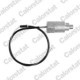 Supapa reglaj mers in gol, admisie aer VERNET pentru CITROEN BERLINGO, C15, EVASION, JUMPER I, XANTIA, XSARA, PEUGEOT 205 II, 206 1.8D/1.9D