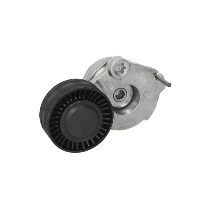 Intinzator,curea transmisie INA