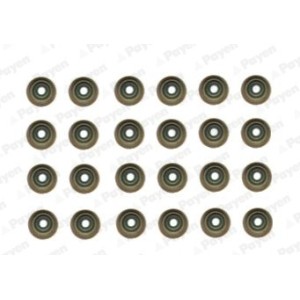 Set garnituri, ax supape PAYEN