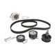 Set pompa apa + curea dintata INA pentru SEAT ALTEA XL, IBIZA III, IV, LEON, SKODA FABIA I, II 1.4/1.4LPG/1.6 10.97-05.15
