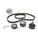 Set pompa apa + curea dintata INA pentru SEAT ALTEA XL, IBIZA III, IV, LEON, SKODA FABIA I, II 1.4/1.4LPG/1.6 10.97-05.15