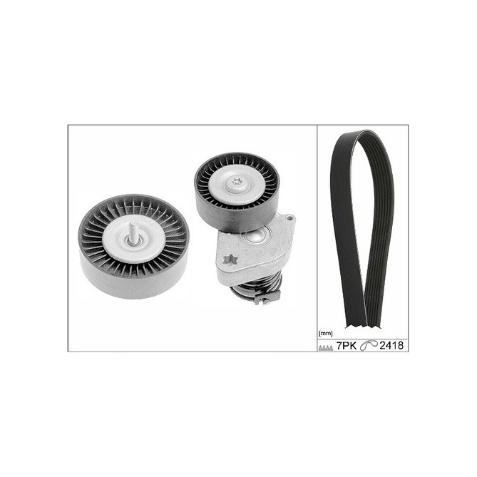 Set curea transmisie cu caneluri INA