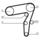 Set pompa apa + curea dintata CONTITECH pentru ALFA ROMEO 147, 156, 159, 166; FIAT BRAVO II, CROMA, DOBLO, MAREA, PUNTO, LANCIA KAPPA 1.9D/2.4D