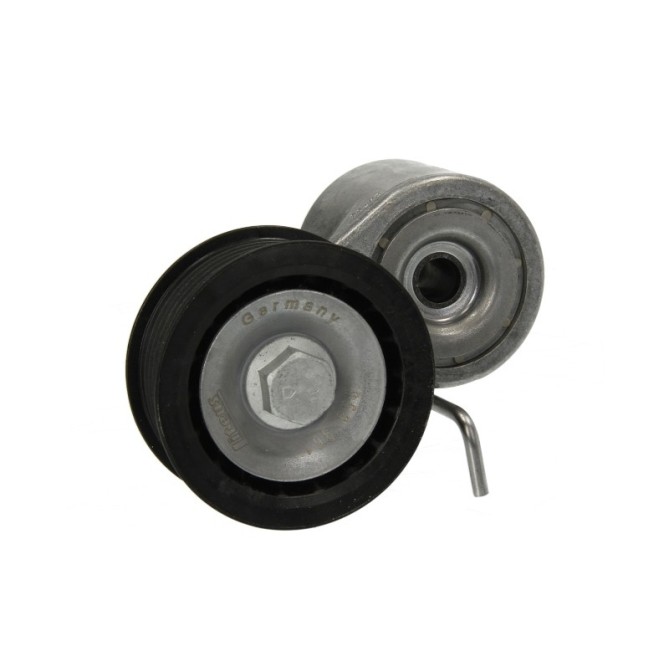 Intinzator,curea transmisie INA