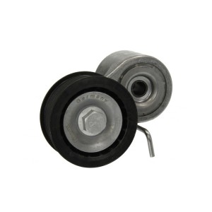 Intinzator,curea transmisie INA