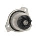 Pompa apă INA pentru SEAT TOLEDO II, VW BORA, BORA I, GOLF IV, NEW BEETLE, PASSAT B5, PASSAT B5.5 2.3 10.96-09.10