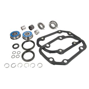 Set reparatie, transmisie manuala INA
