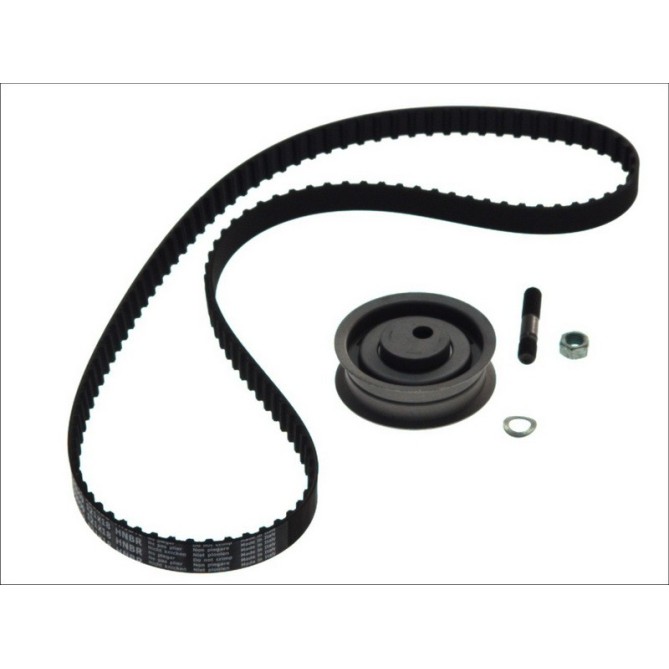 Set curea de distributie SKF