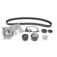 Set pompa apa + curea dintata SKF RENAULT CLIO III, FLUENCE, GRAND SCENIC II, GRAND SCENIC III, LAGUNA II, LAGUNA III, MEGANE 1.6 132 dinti
