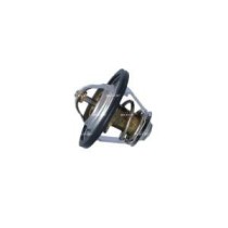 Termostat,lichid racire 