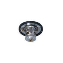 Termostat,lichid racire 