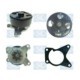 Pompa apa SIL cu garnitura pentru NISSAN QASHQAI I, TIIDA, X-TRAIL II, RENAULT CLIO III, FLUENCE, GRAND SCENIC III, LAGUNA III, MEGANE III