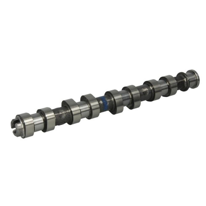 Ax cu came KOLBENSCHMIDT