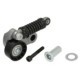 Întinzator curea transmisie BTA pentru VOLVO S40 I, V40; MITSUBISHI CARISMA; RENAULT CLIO II, ESPACE III, KANGOO, LAGUNA I, MASTER II, MEGANE I, MEGANE SCÉNIC 1.9D