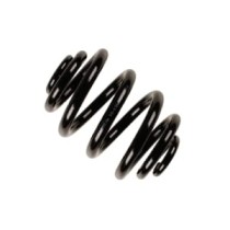 Arcuri elicoidale BILSTEIN