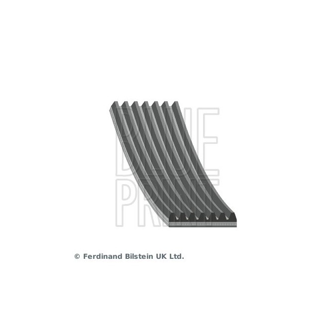 Curea transmisie cu caneluri BLUE PRINT
