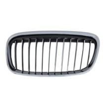 Grila radiator BLIC
