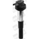 Bobina de inductie BORGWARNER (BERU) pentru BMW F (- 800CC), K 798-1293 200410-201207, 12.0 V, 4 conexiuni, 2 buc necesare