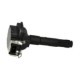 Bobina de inductie BORGWARNER (BERU) pentru AUDI A3, A4 B5, A6 C4, A6 C5, A8 D2, ALLROAD C5, TT; SEAT ALHAMBRA, LEON; SKODA OCTAVIA I; VW BORA, GOLF IV, PASSAT B5, SHARAN 1.8-4.2