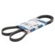 Curea transmisie cu caneluri BOSCH Multi-V-belt 4PK1366 1366.0 mm pentru FORD GALAXY III, MONDEO V, S-MAX, MAN TGL I, TGM I 2.0-6.9D