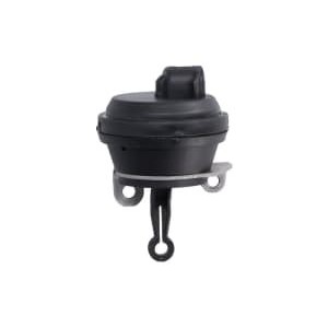 Supapa,recirculare gaze de esapament ENGITECH