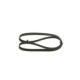Curea transmisie cu caneluri BOSCH 6PK1165 pentru RENAULT, Peugeot, Citroen, lungime 1165 mm, 6 nervuri