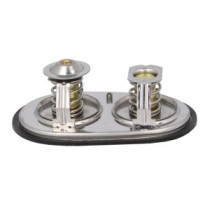 Termostat,lichid racire NRF