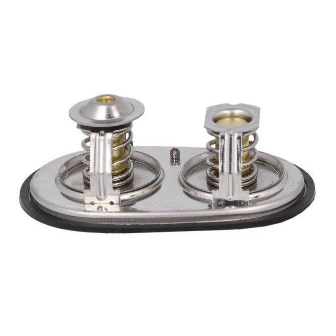 Termostat,lichid racire NRF