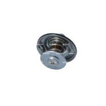 Termostat,lichid racire NRF