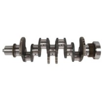 Arbore cotit OE GERMANY