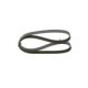 Curea transmisie cu caneluri BOSCH Multi-V-belt 6PK1205 1205.0 mm 6 nervuri
