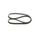 Curea transmisie cu caneluri BOSCH Multi-V-belt 6PK1205 1205.0 mm 6 nervuri
