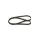 Curea transmisie cu caneluri BOSCH Multi-V-belt 6PK1270 pentru FIAT BRAVO II, STILO, FORD C-MAX II, FOCUS III, GALAXY III, KUGA II, MONDEO V