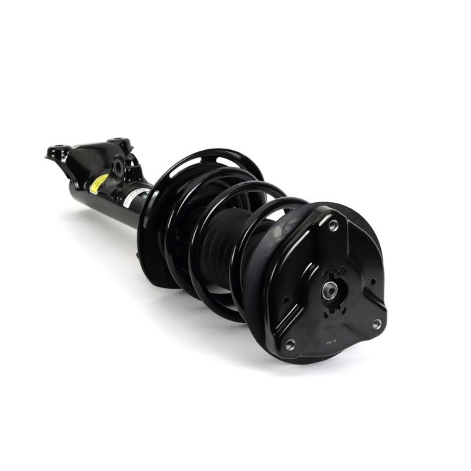 Amortizor ARNOTT EUROPE