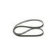 Curea transmisie cu caneluri BOSCH Multi-V-belt 5PK1121 pentru VOLVO S40 I, S60 II, S80 II, V40, V60 I, V70 III, XC60 I, XC70 II 1121 mm