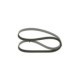 Curea transmisie cu caneluri BOSCH Multi-V-belt 5PK1121 pentru VOLVO S40 I, S60 II, S80 II, V40, V60 I, V70 III, XC60 I, XC70 II 1121 mm