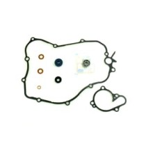 Set reparatie, pompa apa ATHENA