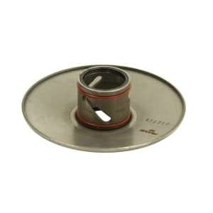 Ambreaj centrifugal RMS